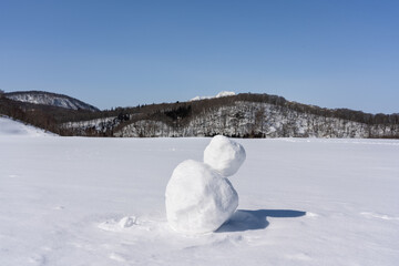 雪原の小さな雪だるま