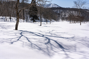 雪の積もった沼の原湿原