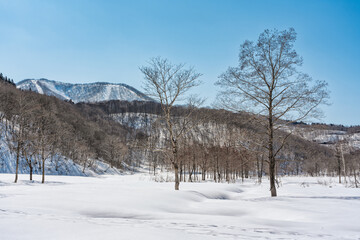 雪の積もった沼の原湿原