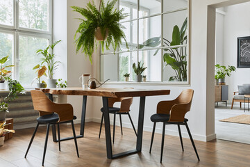 Stylish and cozy interior of dining room with design craft wooden table, chairs, plants, velvet sofa, poster map and elegant accessories in modern home decor. Template.