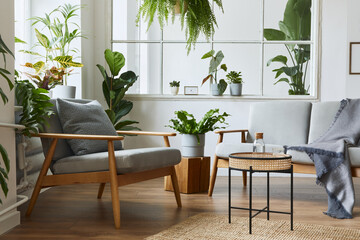 Fototapeta na wymiar Modern scandinavian interior of living room with design grey sofa, armchair, a lot of plants, coffee table, carpet and personal accessories in cozy home decor. Template.