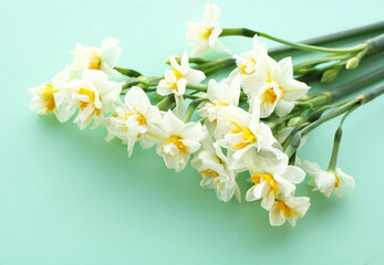 bouquet of white narcissus, beautiful scented spring flowers