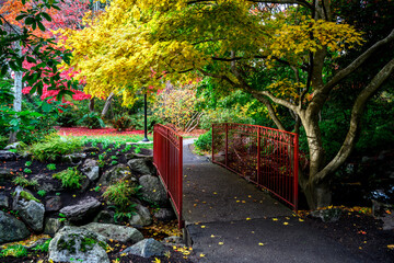 Beacon Hill Park, Victoria, Vancouver Island, BC Canada