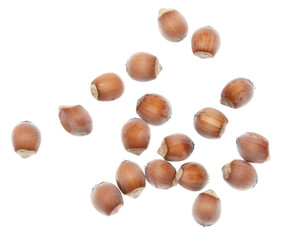 Hazelnuts isolated on a white background.