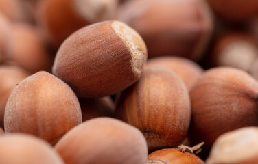 Close up of hazelnuts as background