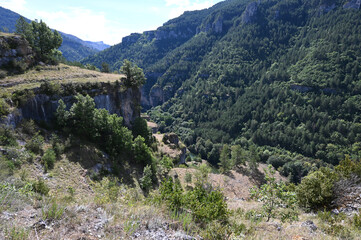 Fototapeta na wymiar gorges du Tarn paysage 