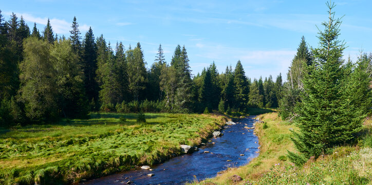Roklansky stream, Modrava, National park Sumava (Bohemian forest), Czech Republic

