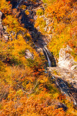 【山が燃えるような紅葉】秘境 奥只見