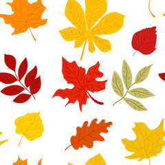 Fototapeta premium Colorfull autumn leaves seamless pattern. Vector