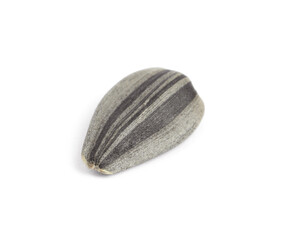 Raw organic sunflower seed isolated on white
