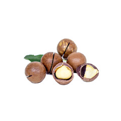 Fresh raw brown round macadamia nuts isolated on white background.