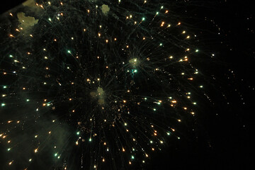 mesmerizing firework lights in the night sky