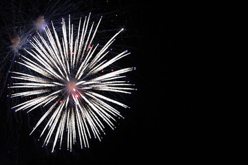 mesmerizing firework lights in the night sky