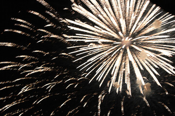mesmerizing firework lights in the night sky