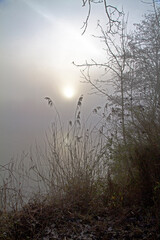 morning on the river