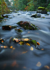River in autumn
