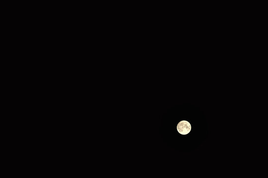 【お月見イメージ】中秋の名月