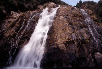 Obraz premium 屋久島