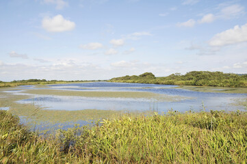 サロベツ湿原と沼
