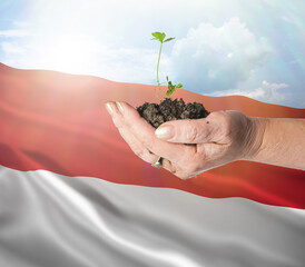 Fototapeta na wymiar Indonesia growth and new beginning. Green renewable energy and ecology concept.
