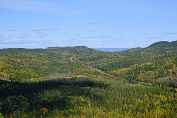 Fototapeta premium high View of a road that goes through the forest