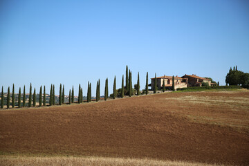 Traditional landscape of the Val D'Orcia