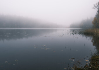 Autumn Photo of a lake and forest on a foggy morning