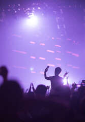 people at the concert