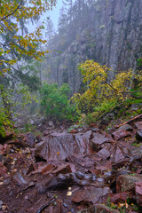 roots in the foreground with trees in autumn colors and rocks in the background