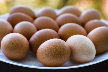 Closeup fresh eggs covered with water drops on a white plate