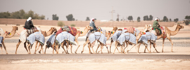 camel herders 