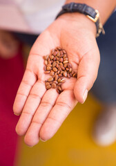 handful of seeds