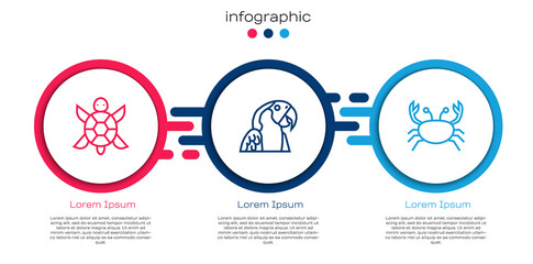 Set line Turtle, Macaw parrot and Crab. Business infographic template. Vector. © Vadim