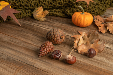autumn template with pumpkins and dried leaves on wooden background