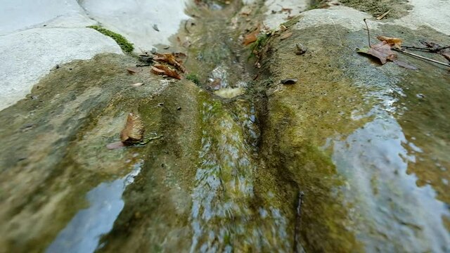 A small stream of water flows on a rocky, mossy, basin among dry autumn leaves, "Papingo Rock pools" at fall, Greece.