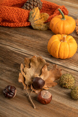 autumn template with pumpkins and dried leaves on wooden background