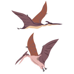 Two flying dinosaurs, pterodactyl, set, vector illustration