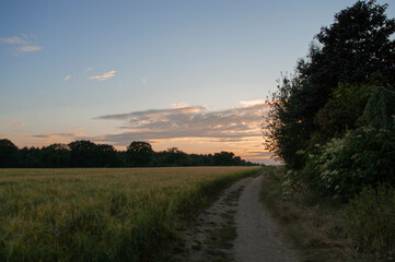Fototapeta na wymiar Sunset Over Farmers Field