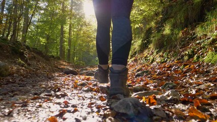 SLOW MOTION, LENS FLARE, LOW ANGLE: Unrecognizable hiker girl walks along an empty forest trail on a sunny autumn day. Unrecognizable fit woman unwinds by going on a relaxing hike around the forest. - Powered by Adobe