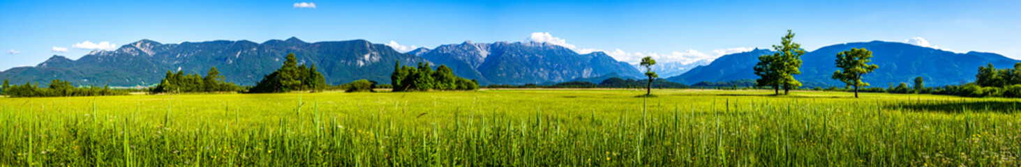 landscape at the Murnauer Moos - bavaria