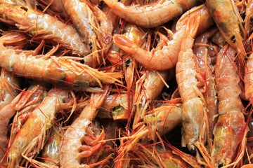 Close up of shrimps at fish market in the center of Athens in Greece.