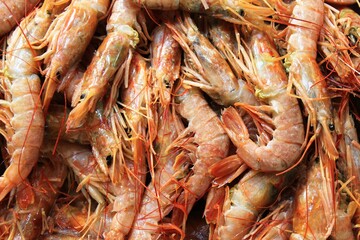 Close up of shrimps at fish market in the center of Athens in Greece.