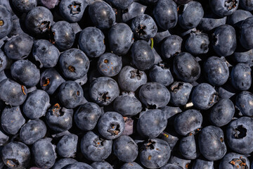 fresh berries blueberries texture background
