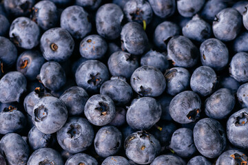 fresh berries blueberries texture background