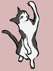 オモチャで遊ぶのに夢中になって立ち上がっている猫の手描きイラスト
