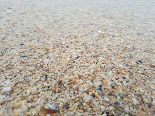 Small stones in gravel beach