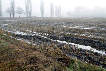 Der Ackerboden ist durch Dauerregen nicht bearbeitbar. Schwanewede, Niedersachsen, Deutschland,...