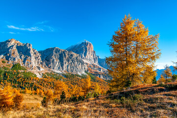 Amazing autumn scenery of Italian Dolomite Alps. Tofane mountain range, Dolomites, Italy