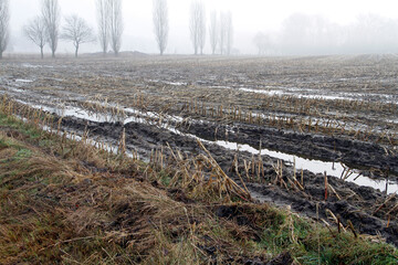Ackerboden bei Dauerregen, Schwanewede, Niedersachsen, Deutschland, Europa  --
Arable soil in...