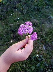 hand with pink flowers